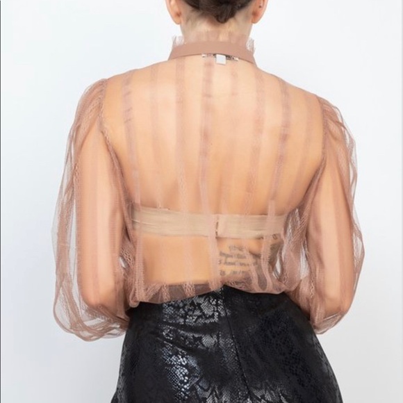 Dark Taupe Sheer Long Sleeve Ruffle Mock Neck Blouse - Picture 5 of 7